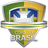 Football - Coupe du Brésil - Statistiques
