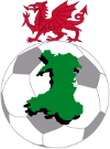 Football - Championnat du Pays de Galles - Premier League - 2023/2024 - Résultats détaillés