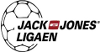 Handball - Danemark - Division 1 Hommes - Saison Régulière - 2014/2015