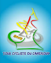 Cyclisme sur route - Tour du Cameroun - Palmarès