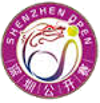 Tennis - Shenzhen - 2016 - Tableau de la coupe