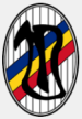 Unirea Tricolor Bucarest