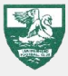 Leatherhead FC (ANG)