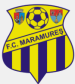 FC Maramures Universitar Baia Mare