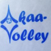 Akaa-Volley (FIN)
