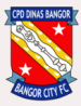 FC Bangor City (GAL)