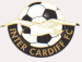 Cardiff Metropolitan University FC (GAL)