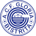 CF Gloria Bistrita 1922 (ROU)