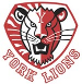 York Lions