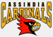 Assindia Cardinals