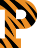 Princeton Tigers (E-U)