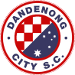 Dandenong City SC