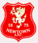 Newtown AFC (GAL)