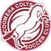 Coomera Colts SC