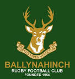 Ballynahinch RFC