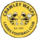 Crawley Wasps LFC