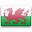 Pays de Galles XIII