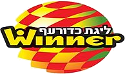 Volleyball - Israël Division 1 Hommes - Palmarès