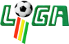 Football - Championnat de Bolivie - Primera División - 2022 - Accueil