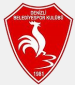 Denizli Belediyespor