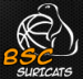 BSC Salzburg