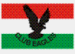 Club Eagles (MAD)