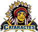 Cataractes de Shawinigan