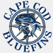 New York Bluefins