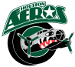 Houston Aeros