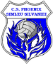 CS Phoenix Simleul Silvaniei