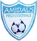 Amidaus Professionals FC