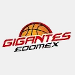 Gigantes del Estado de M&eacute;xico