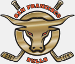 San Francisco Bulls