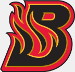 Bloomington Blaze