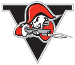 Voltigeurs de Drummondville