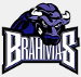 Fort Worth Brahmas