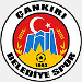 &Ccedil;ankiri Belediyespor