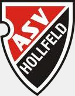 ASV Hollfeld