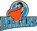 Pelicans Lahti (FIN)