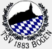 TSV Bogen