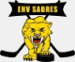 EHV Sabres Vienne