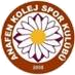 Anafen Koleji SK