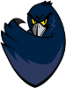 Monmouth Hawks
