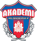 Helsingborgs IF Akademi