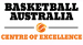 BA Centre of Excellence