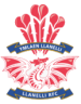 Llanelli RFC