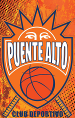 CD Puente Alto