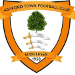 Ashford Town FC