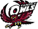 Temple Owls