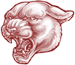 St. Xavier Cougars